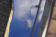 Slight evidence of rusty seam in one wheel arch